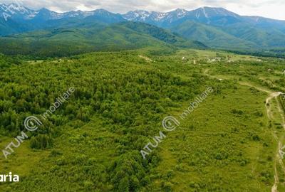 Teren de 2000 mp, în Porumbacu de Jos - 4