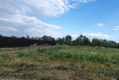 Teren de 500 mp, în Șerbănești - 5