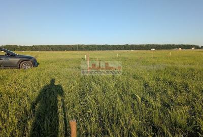 Teren Construcții intravilan de 1000 mp, în Nord-Est - 4