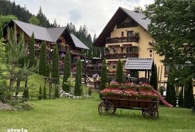 Casă cu Teren 7500 Mp în Sadova