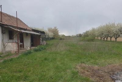 Teren de 7200 mp, în Miersig - 2