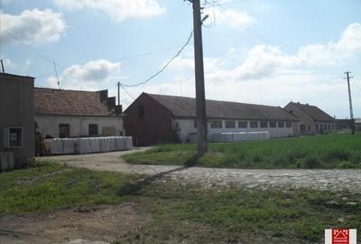 Spațiu industrial, de 7,000 mp, în Sânnicolau Mic - 11