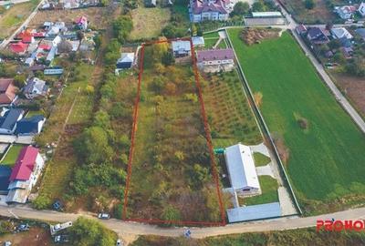 Casă individuală cu 5 camere cu Teren 5725 Mp în Calea Moinești - 1