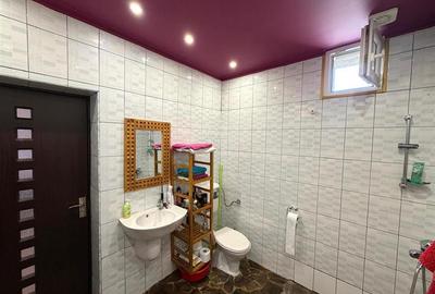 Casă cu 3 camere cu Teren 740 Mp în Tărian - 29