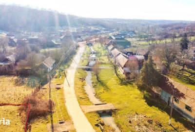 Casă cu 4 camere cu Teren 10486 Mp în Ohaba Lungă - 5