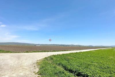 Teren Construcții intravilan de 60000 mp, în Feldioara - 2