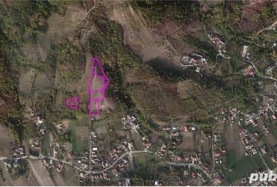 Teren de 8829 mp, în Copăcelu