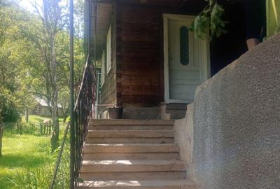 Casă cu 3 camere în Peleș - 4
