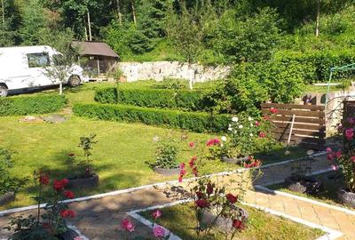 Casă cu 4 camere cu Teren 1228 Mp în Vama