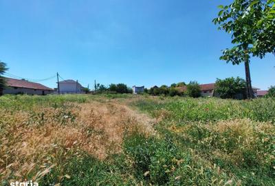 Teren de 10110 mp, în Valu lui Traian - 9