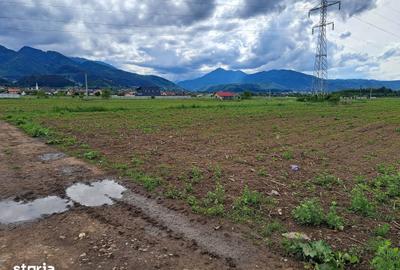 Teren de 3500 mp, în Movilei - 1