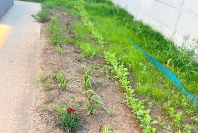 Casă individuală cu 4 camere cu Canalizare în Tunari - 25