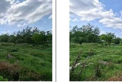 Teren de 968 mp, în Găiceana - 8