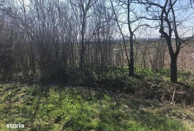 Teren de 3500 mp, în Medieșu Aurit - 1