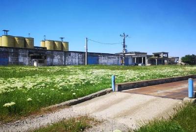 Spațiu industrial, de 171,937 mp, în Urleasca - 4