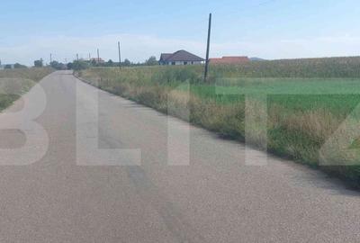 Teren Construcții intravilan de 5800 mp, în Gligorești