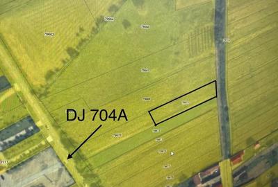 Teren de 1450 mp, în Pianu