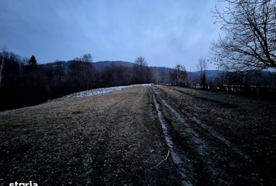 Teren de 5000 mp, în Șinca - 2