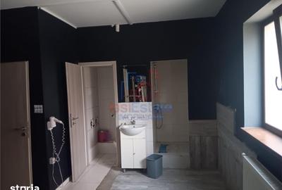 Spațiu comercial, de 403 mp, în Ciurea - 4