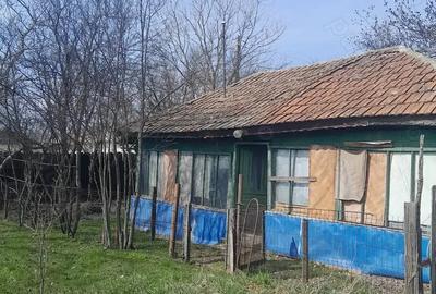 Teren de 5000 mp, în Albeni - 4