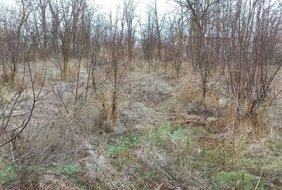 Teren de 2300 mp, în Râmniceni - 5