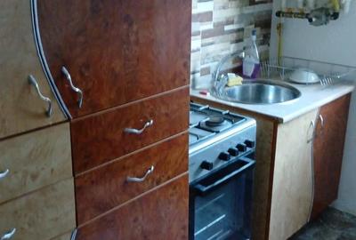Garsonieră decomandată în Dristor - 8