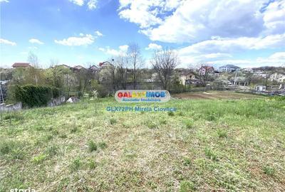 Teren de 8930 mp, în Păulești - 10
