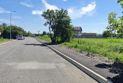 Teren Construcții intravilan de 16650 mp, în 13 Decembrie - 3