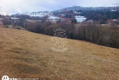 Teren de 8335 mp, în Săcuieu - 3