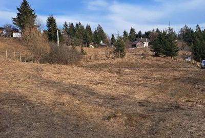 Teren de 18000 mp, în Prundu Bârgăului - 3