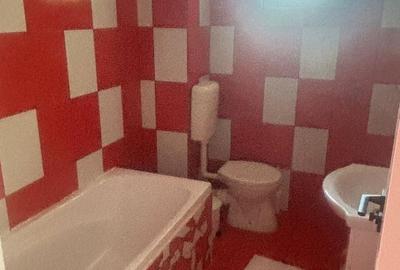 Apartament cu 2 camere în Palazu Mare - 2