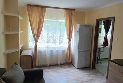 Garsonieră semidecomandată în Lunei - 5