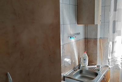 Apartament cu 2 camere semidecomandat în Alecu Russo - 10