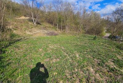 Teren Construcții intravilan de 1800 mp, în Brebu Megieșesc - 5