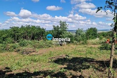 Teren Construcții intravilan de 1000 mp, în Aroneanu - 3