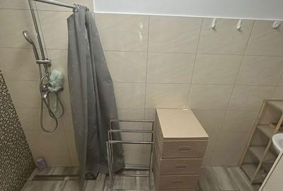 Apartament cu 2 camere în Nufărul