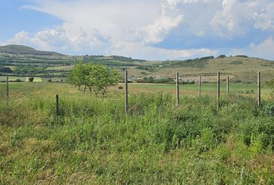 Spațiu comercial, în Șard - 5