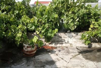 Casă cu 3 camere cu Teren 194 Mp în Gării - 3