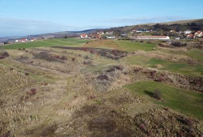 Teren agricol extravilan de 68403 mp, în Popești - 15