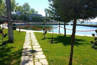 Teren Construcții intravilan de 13969 mp, în Nord - 1