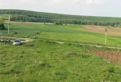 Casă cu 6 camere cu Teren 5000 Mp în Baldovinești - 8