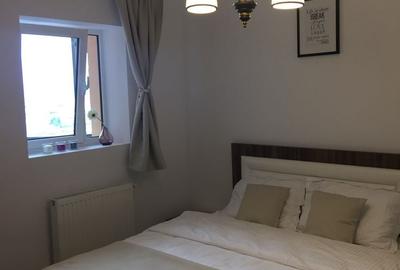 Apartament cu 2 camere nedecomandat în Valea Moșneagului - 2