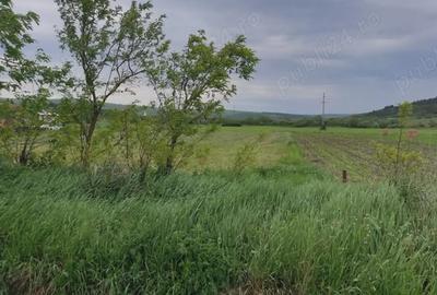 Teren de 5800 mp, în Luna - 3