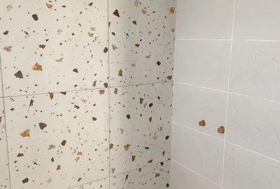 Casă individuală cu 4 camere cu Canalizare în Popas Păcurari - 9