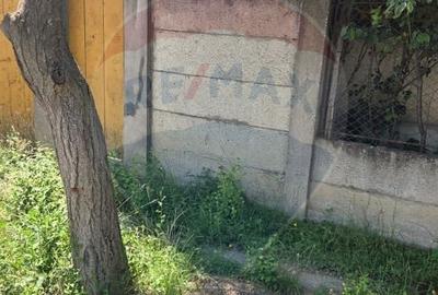 Casă individuală cu 4 camere cu Teren 2676 Mp în Boiu - 8