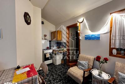 Apartament cu 3 camere, mobilat în Iosefin