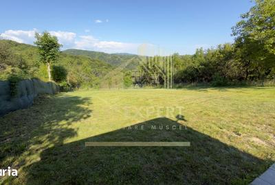 Teren de 3200 mp, în Godeni