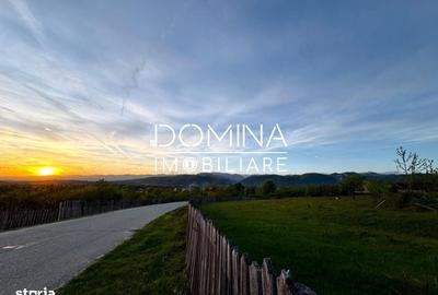 Spațiu comercial, în Baia de Fier - 1