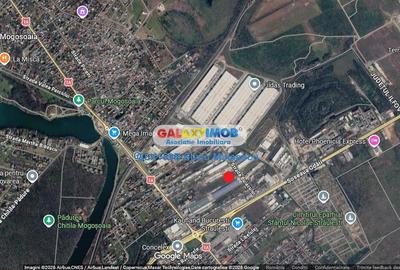 Teren intravilan de 5600 mp, în Mogoșoaia - 2