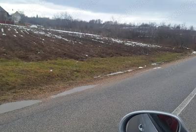 Teren de 2300 mp, în Dângău Mare - 2